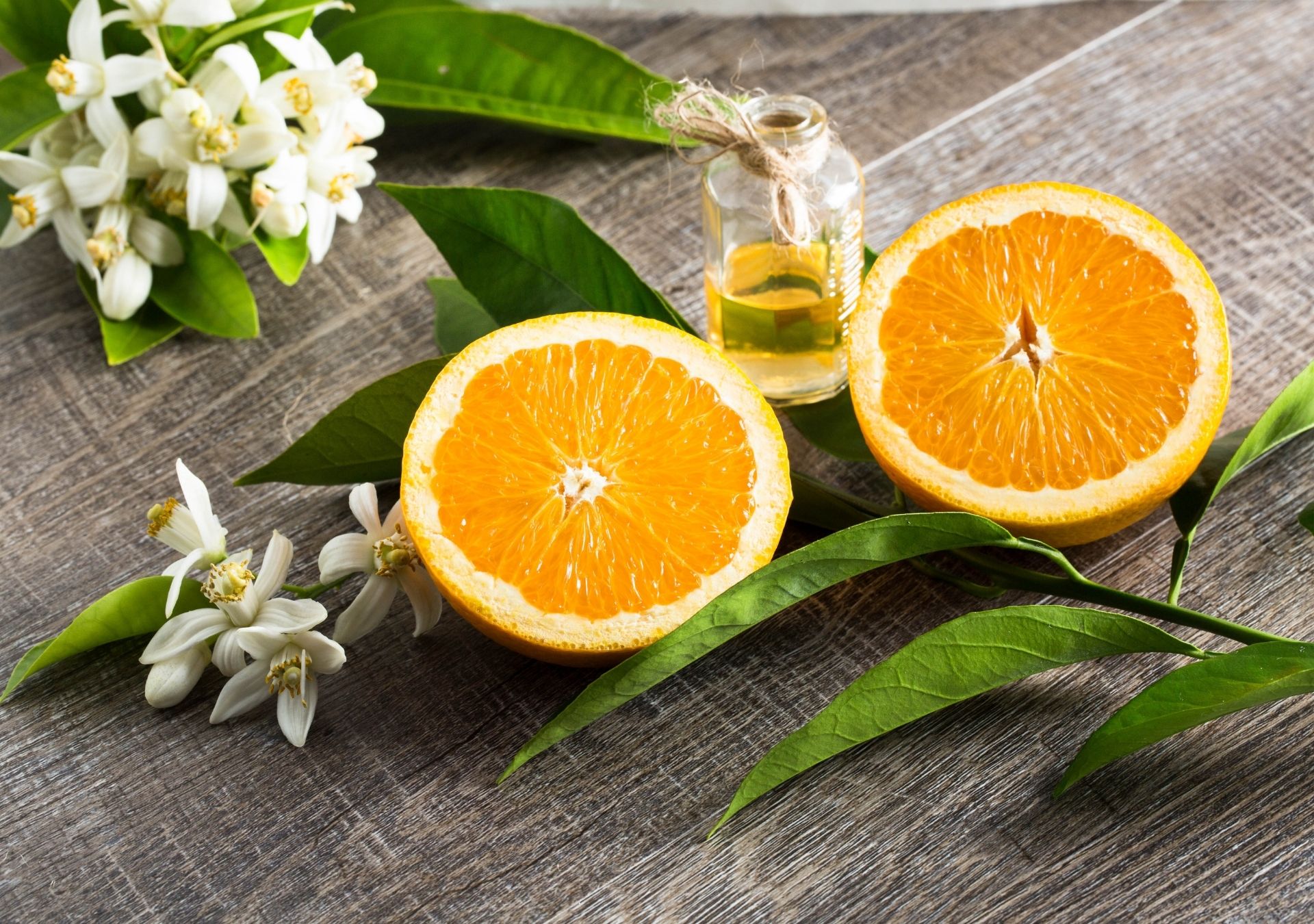 massage therapy halifax